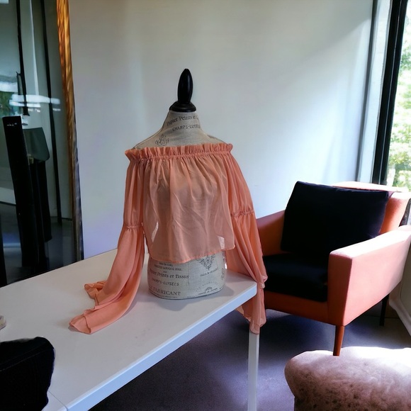 Feel beautiful in this romantic ruffled semi-sheer and feminine peach blouse - Picture 15 of 16